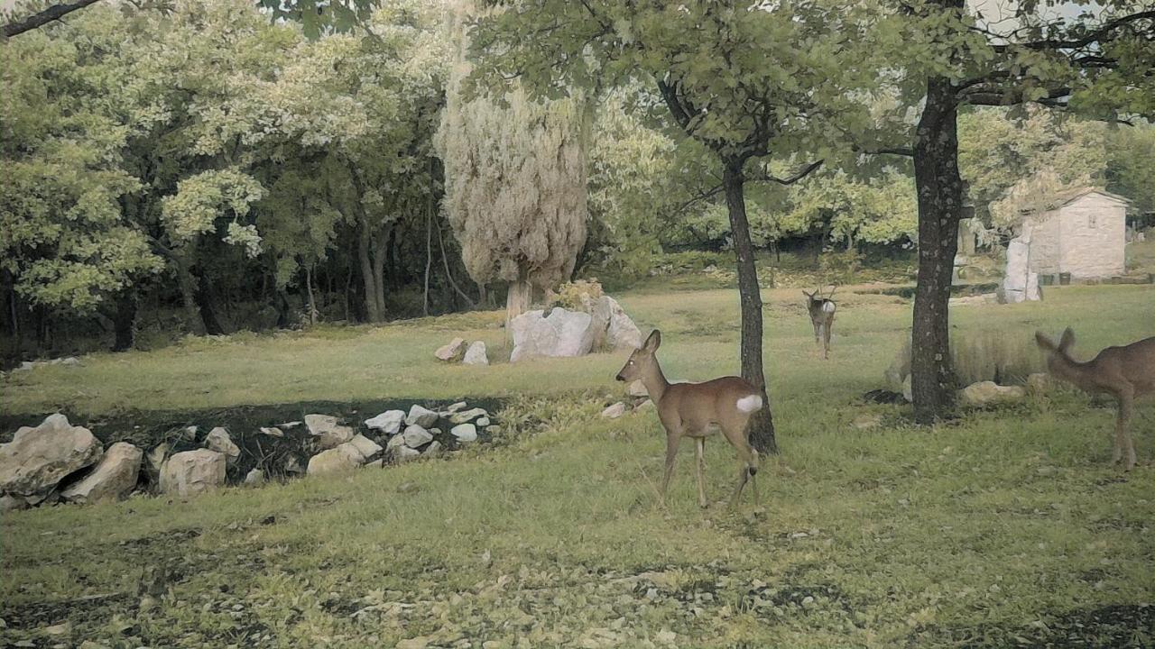 Cottage Al Merlo Olivo ブイェ エクステリア 写真