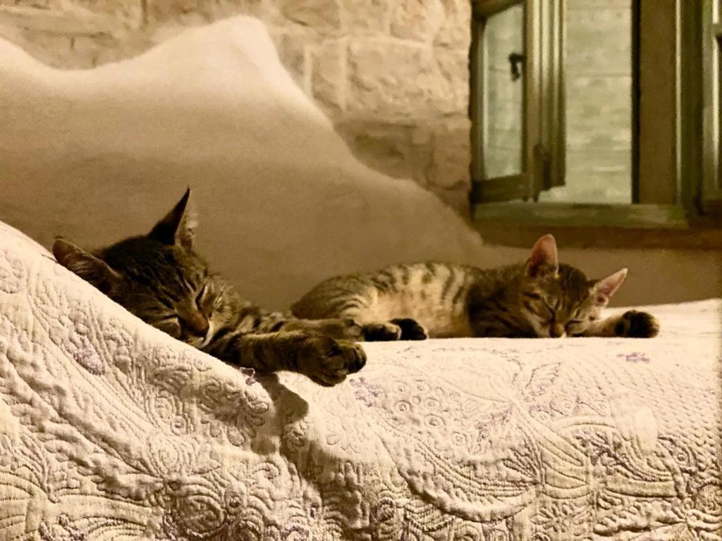 Cottage Al Merlo Olivo ブイェ エクステリア 写真