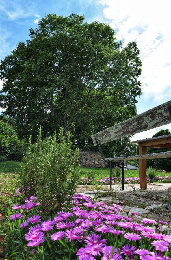 Cottage Al Merlo Olivo ブイェ エクステリア 写真