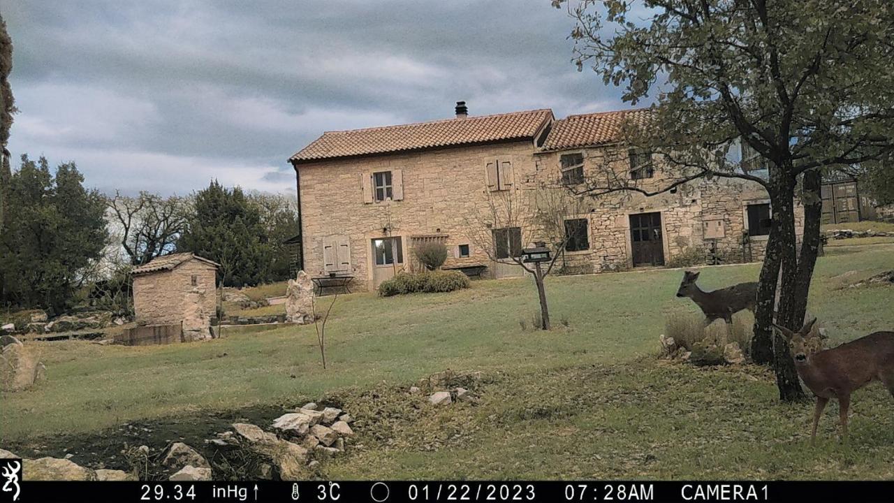 Cottage Al Merlo Olivo ブイェ エクステリア 写真