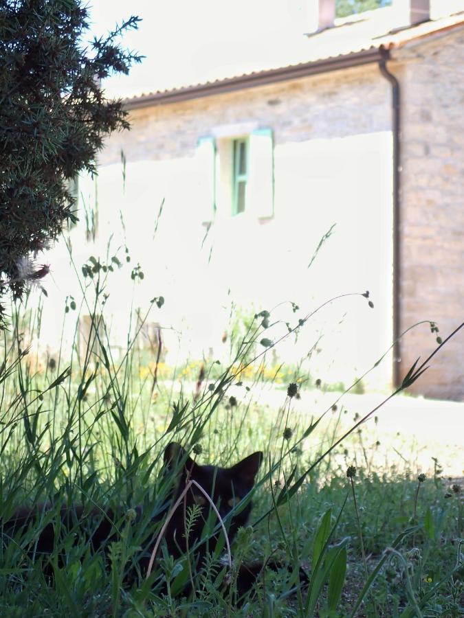 Cottage Al Merlo Olivo ブイェ エクステリア 写真