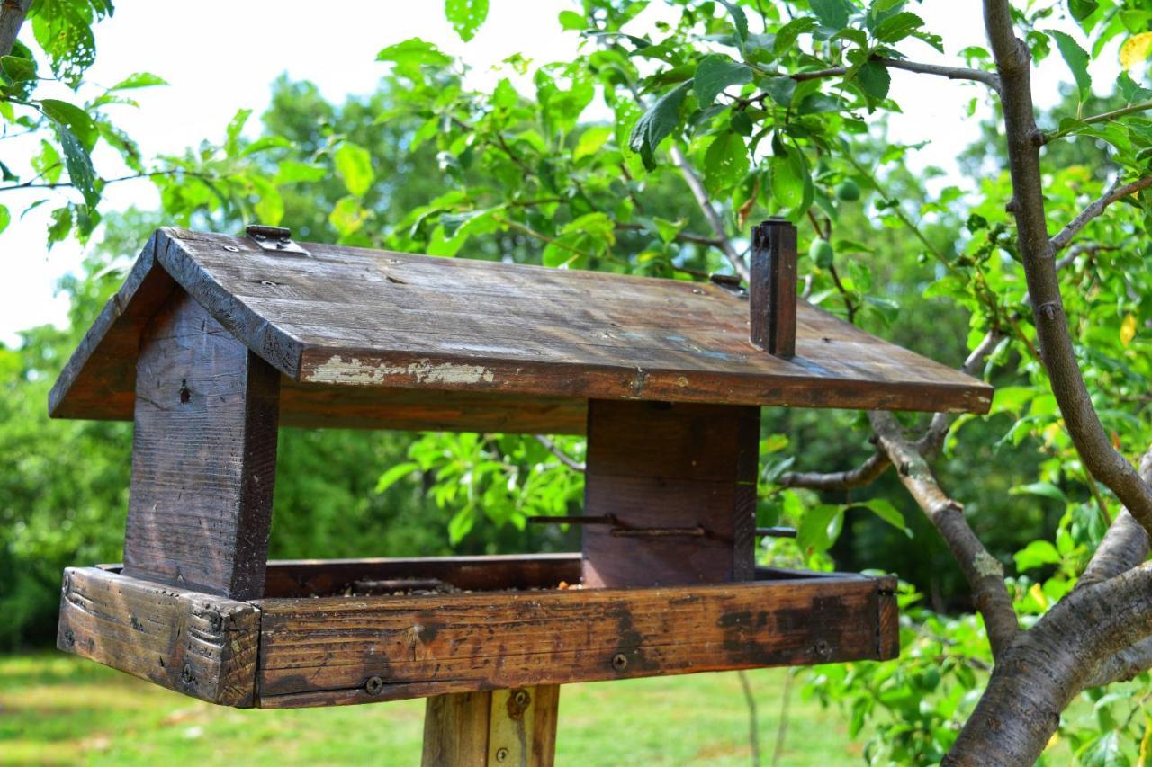 Cottage Al Merlo Olivo ブイェ エクステリア 写真