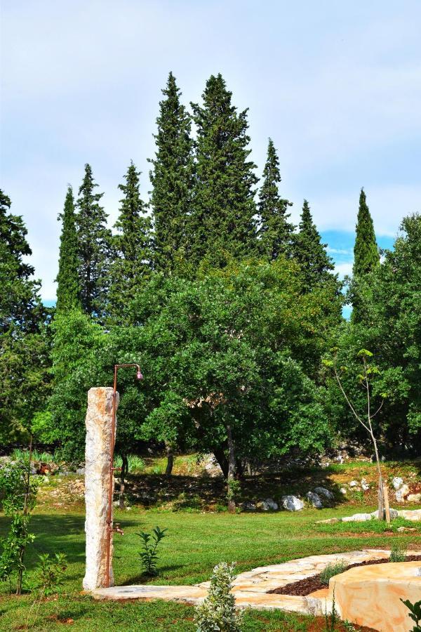 Cottage Al Merlo Olivo ブイェ エクステリア 写真